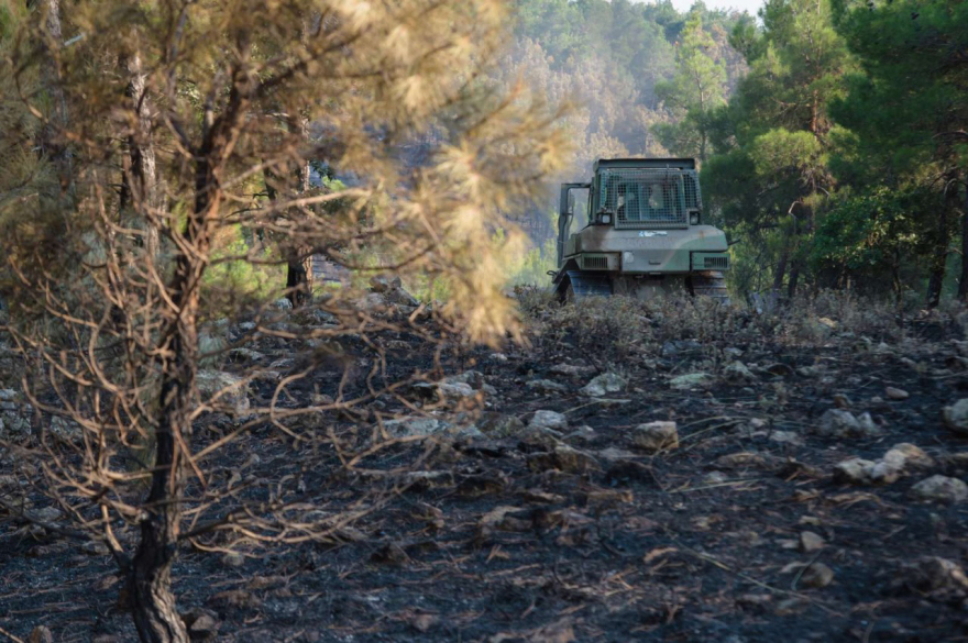 Φωτιά στη Δαδιά: Νέες αντιπυρικές ζώνες στο νοτιοδυτικό τμήμα του Εθνικού Πάρκου