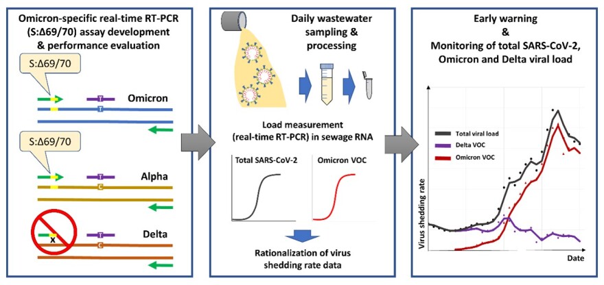 Κορωνοϊός - ΑΠΘ: Νέες διεθνείς δημοσιεύσεις φέρνουν πρωτοποριακή εξέλιξη στις έρευνες