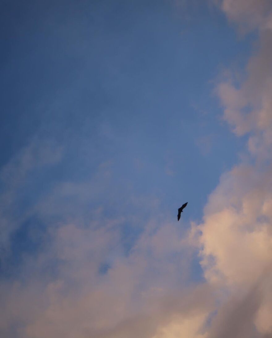 Κόνι Μεταξά: Απάντησε για το κόστος του ταξιδιού της στις Μαλδίβες