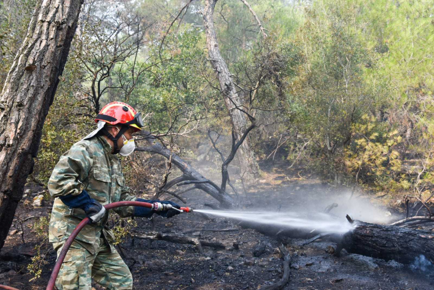 Φωτιά στη Δαδιά: Συνεχίζεται η μάχη με διάσπαρτες εστίες