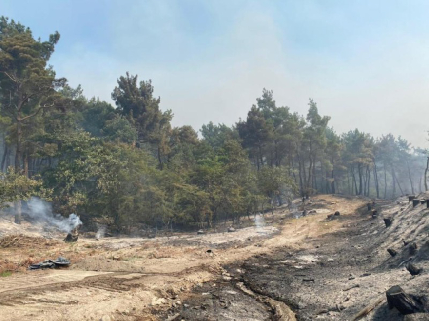 Φωτιά στη Δαδιά: Συνεχίζεται η μάχη με διάσπαρτες εστίες