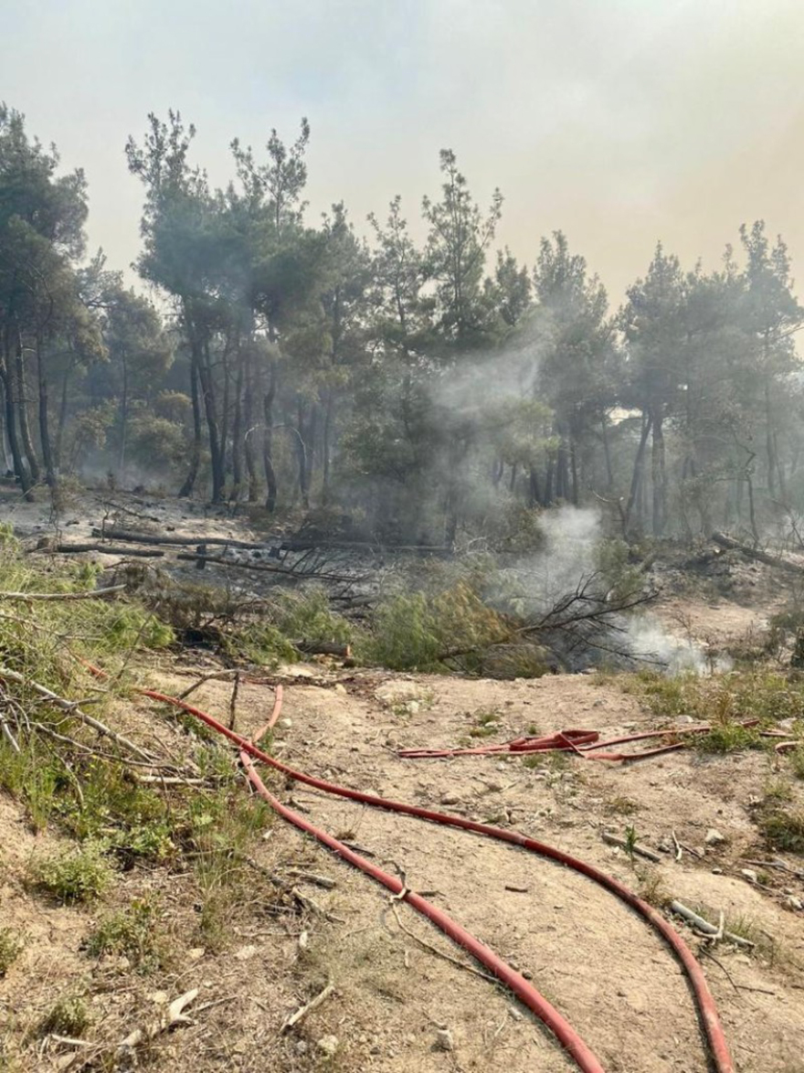 Φωτιά στη Δαδιά: Συνεχίζεται η μάχη με διάσπαρτες εστίες