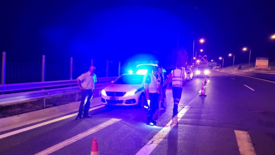 Κοζάνη: Αρκούδα συγκρούστηκε με αυτοκίνητο στην Εγνατία Οδό - Δείτε βίντεο