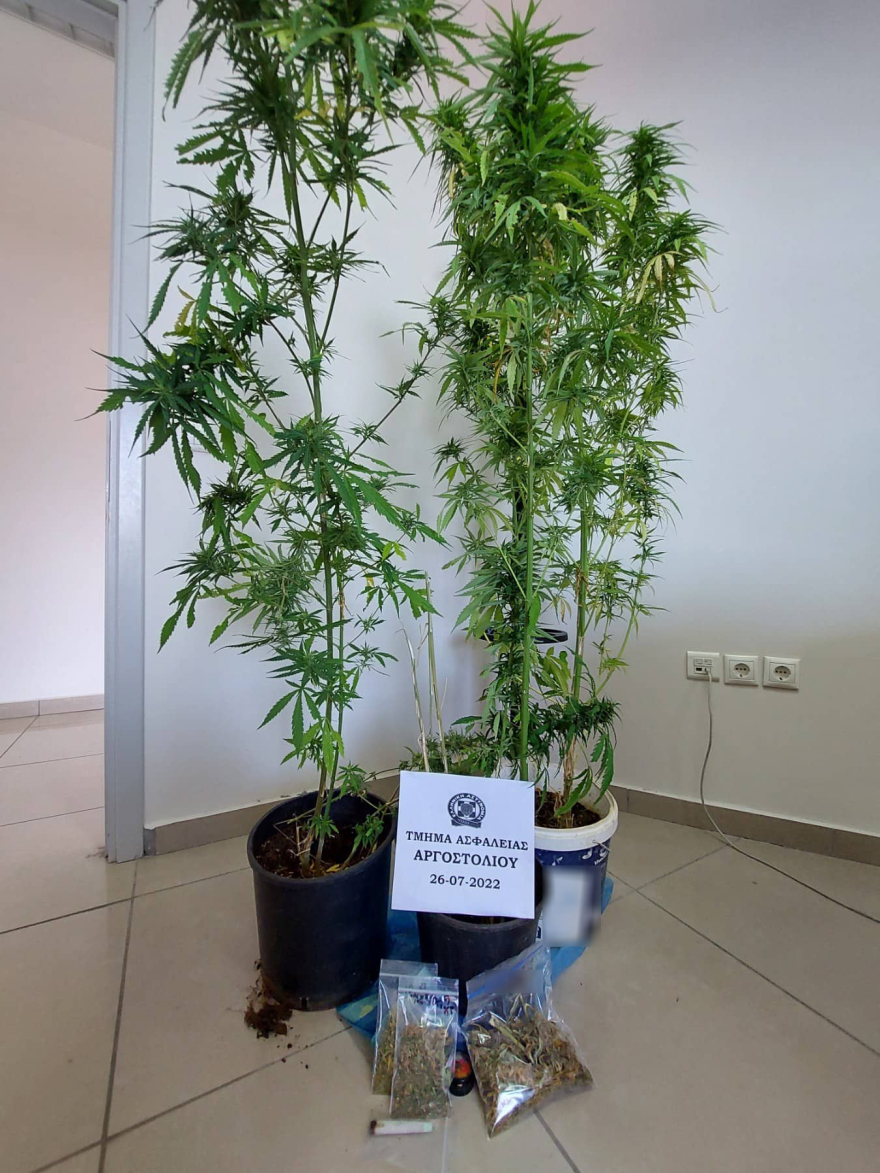 Κεφαλονιά: Καλλιεργούσε μίνι χασισοφυτεία στο οικόπεδό του