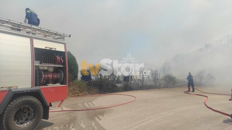 Φωτιά στη Βοιωτία: Μάχη με τους ισχυρούς ανέμους και τις αναζωπυρώσεις 
