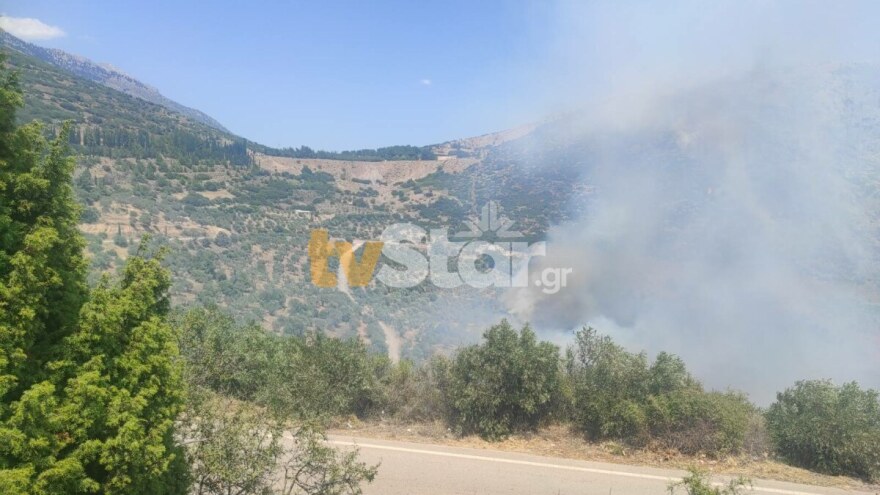 Φωτιά στη Βοιωτία: Μάχη με τους ισχυρούς ανέμους και τις αναζωπυρώσεις 