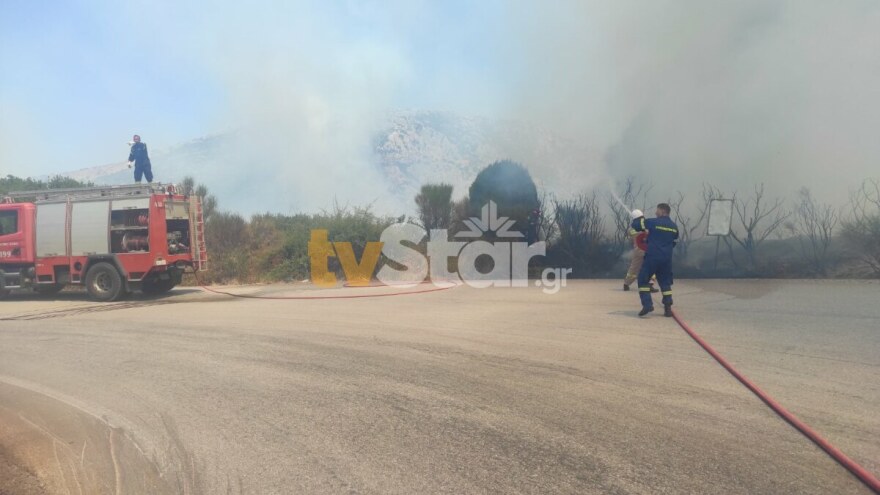 Φωτιά στη Βοιωτία: Μάχη με τους ισχυρούς ανέμους και τις αναζωπυρώσεις 