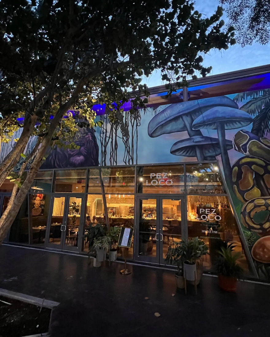 Κόνι Μεταξά και Μάριος Καπότσης: Συνεχίζουν το ταξίδι του μέλιτος – Πού ταξίδεψαν μετά τις Μαλδίβες