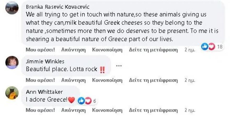 Σύμη: Viral η φωτογραφία κατσίκας που ποζάρει σε ξαπλώστρα