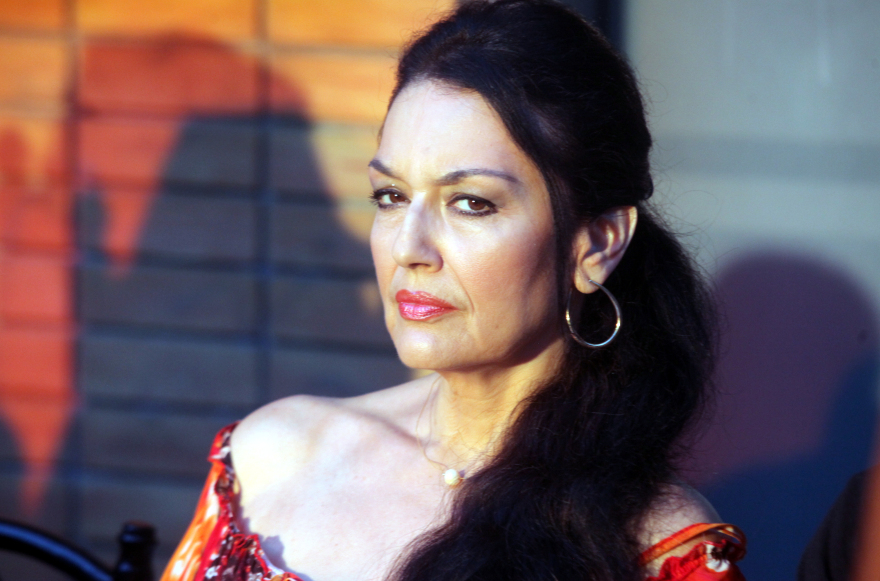 Ελένη Φιλίνη: Δεν έβγαλα χρήματα από το επάγγελμά μου