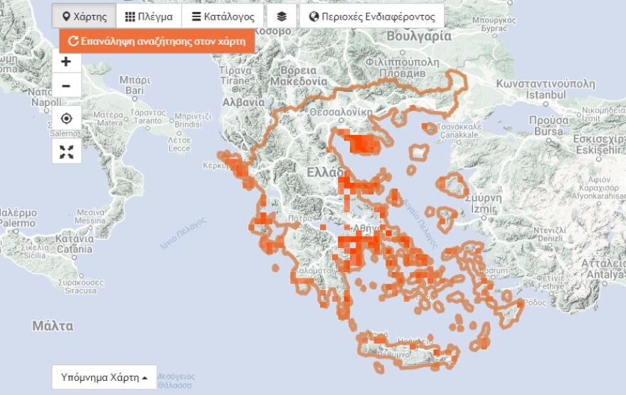 Μωβ μέδουσες: Οι πιο επικίνδυνες παραλίες για την πρώτη εβδομάδα του Αυγούστου