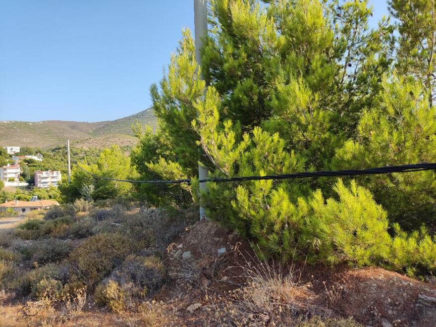 Επικίνδυνα καλώδια για πυρκαγιά στο Νταού Πεντέλης