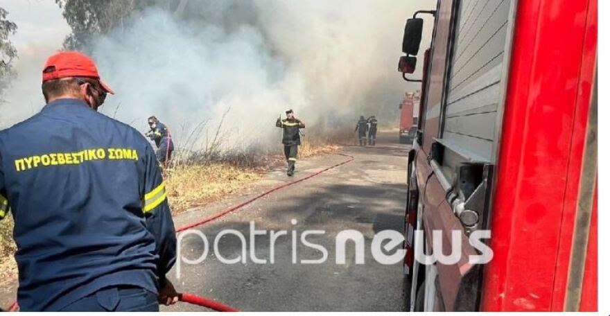 Φωτιά σε δασική έκταση στον Πύργο Ηλείας