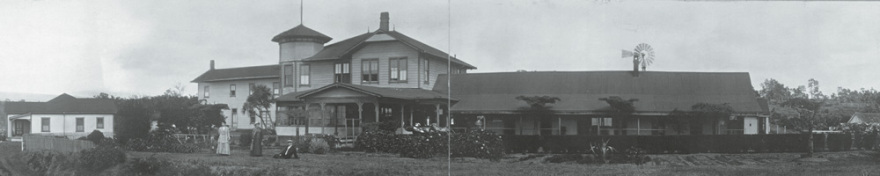 Γιώργος Λυκούργος: Ο Έλληνας αντάρτης της Χαβάης 