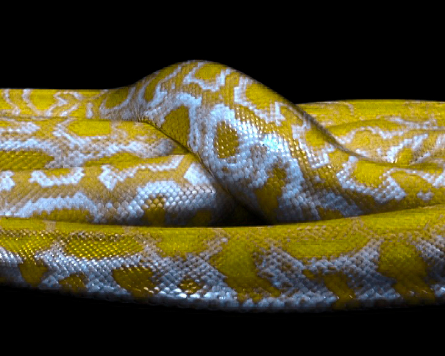 Οι Σειρήνες μας καλούν στην Ύδρα