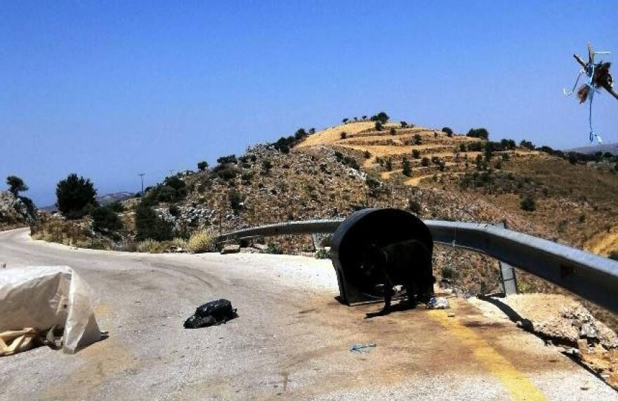 Κρήτη: Βρήκαν σκύλο αλυσοδεμένο σε ερημική περιοχή – Συνέλαβαν τον ιδιοκτήτη του