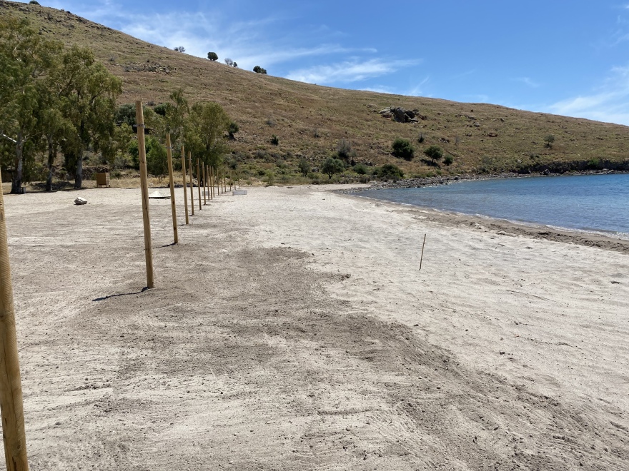 Αίγινα: Επιχειρηματίας έβαλε 140 σετ ομπρελών σε παραλία, ενώ έχει άδεια για 24