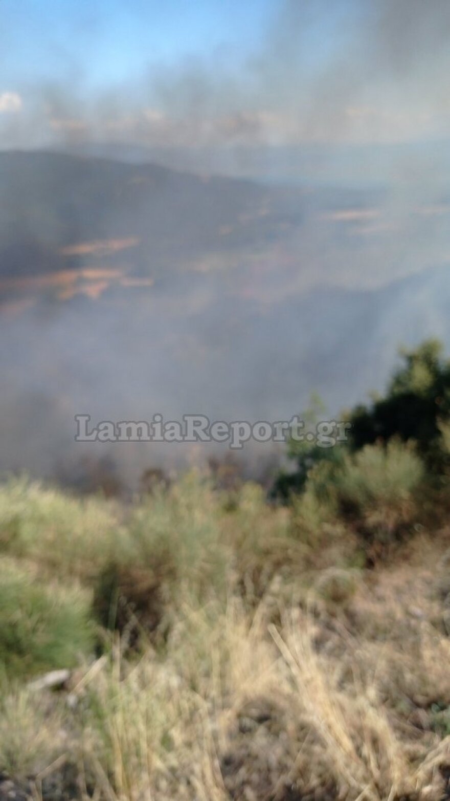 Φθιώτιδα: Οριοθετήθηκε η φωτιά στο Λογγίτσι - Στη «μάχη» και εναέρια μέσα (βίντεο και φωτογραφίες)