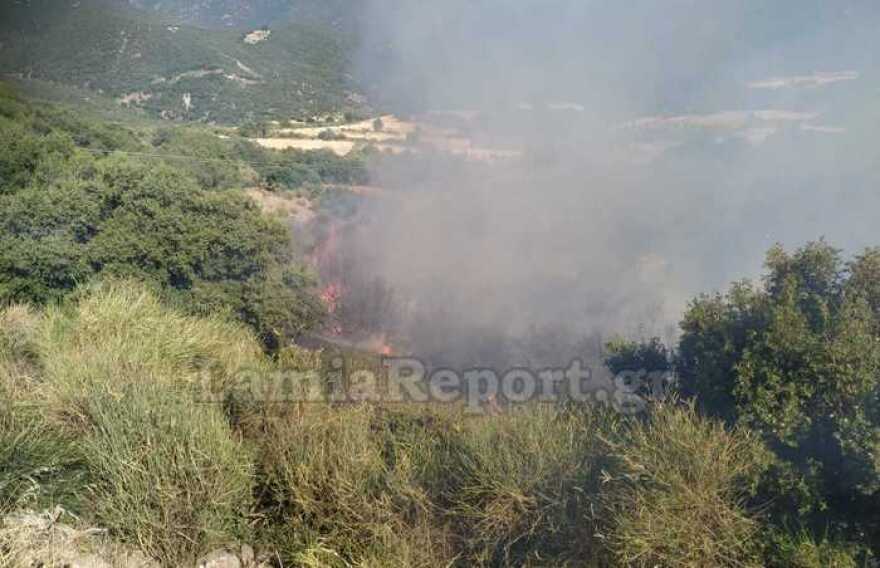 Φθιώτιδα: Οριοθετήθηκε η φωτιά στο Λογγίτσι - Στη «μάχη» και εναέρια μέσα (βίντεο και φωτογραφίες)