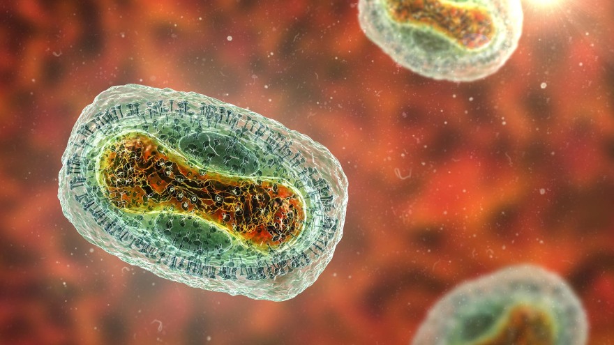 Δημήτρης Δασκαλάκης: Η ιστορία του γιατρού που έριξε ο Μπάιντεν στη μάχη κατά της ευλογιάς των πιθήκων