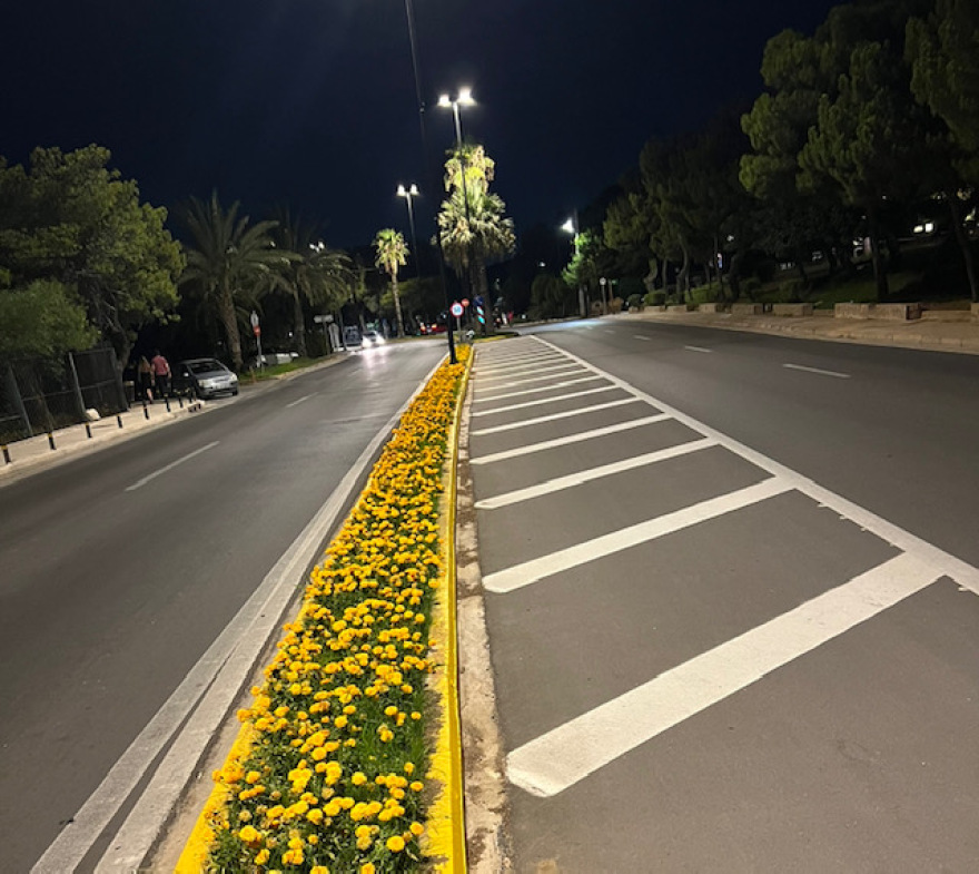 Η Λεωφόρος Συγγρού άλλαξε και έγινε πράσινη με 300 φοίνικες