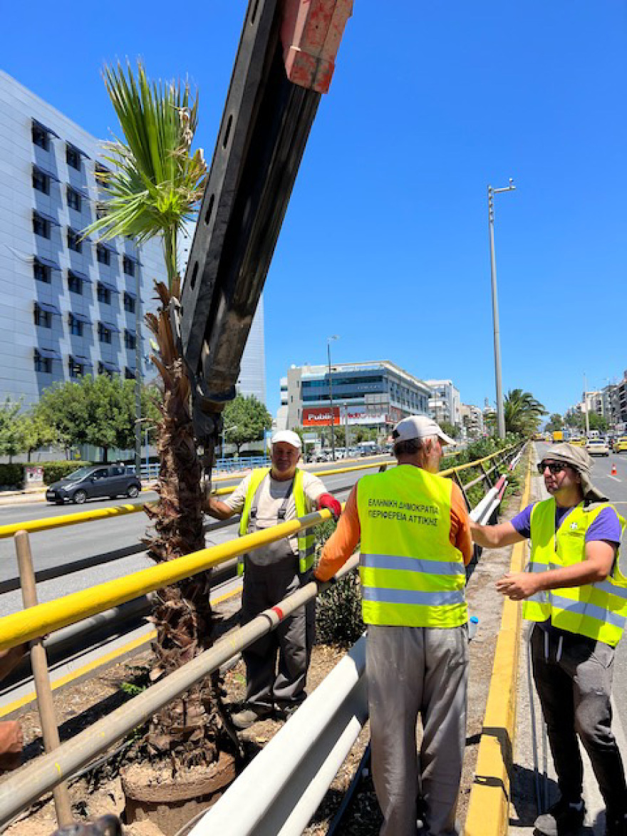 Η Λεωφόρος Συγγρού άλλαξε και έγινε πράσινη με 300 φοίνικες