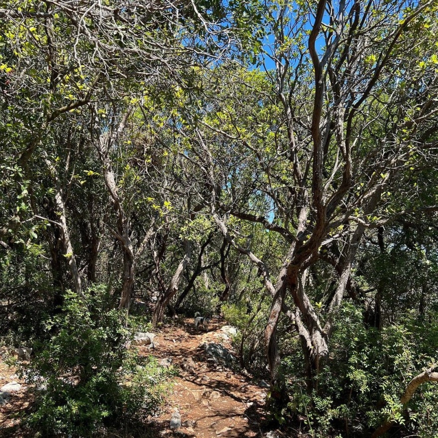 Η Τόνια Σωτηροπούλου στην Κεφαλονιά με τα αγόρια της