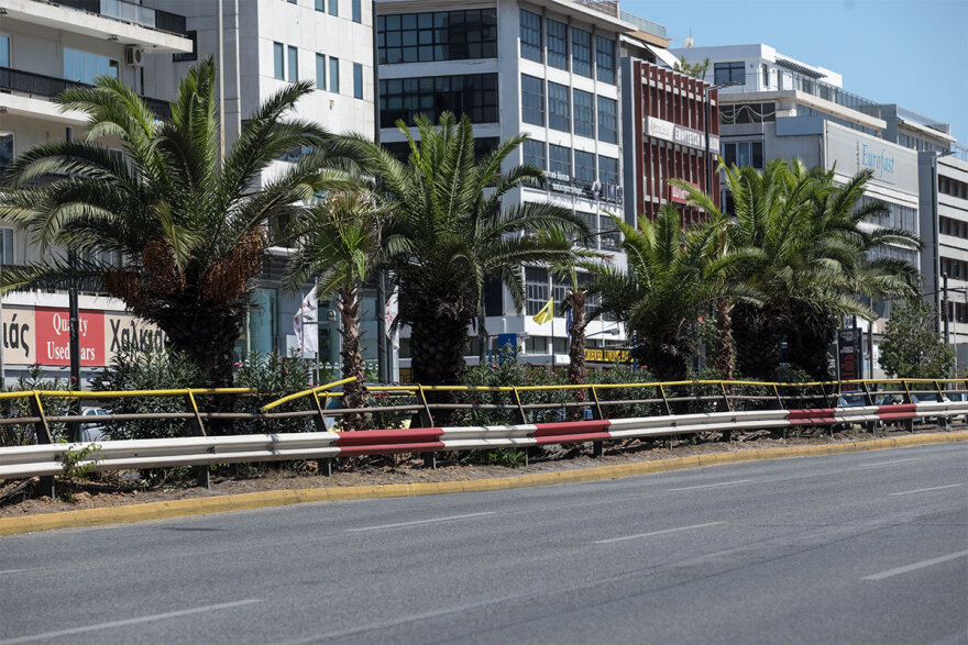 Η Λεωφόρος Συγγρού άλλαξε και έγινε πράσινη με 300 φοίνικες