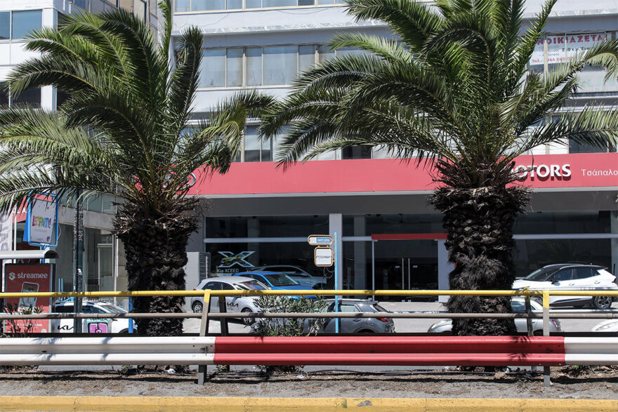 Η Λεωφόρος Συγγρού άλλαξε και έγινε πράσινη με 300 φοίνικες