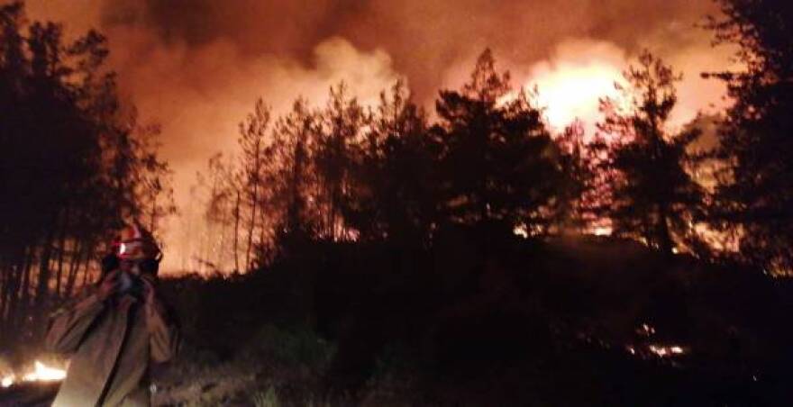 Πυκνό δάσος καίει η φωτιά στη Θάσο - Δείτε βίντεο και φωτογραφίες