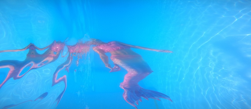 Καταδυτικό κέντρο στη Χαλκιδική εκπαιδεύει… γοργόνες με πτυχίο από παγκόσμιο οργανισμό