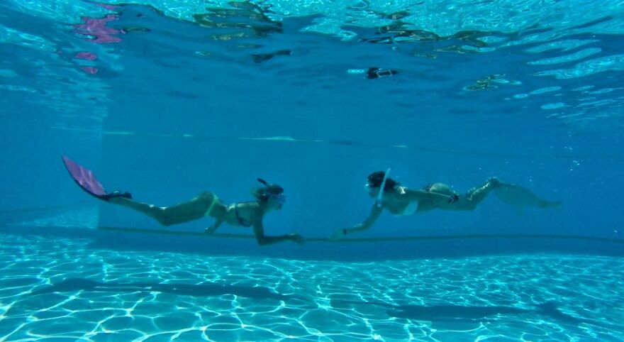 Καταδυτικό κέντρο στη Χαλκιδική εκπαιδεύει… γοργόνες με πτυχίο από παγκόσμιο οργανισμό