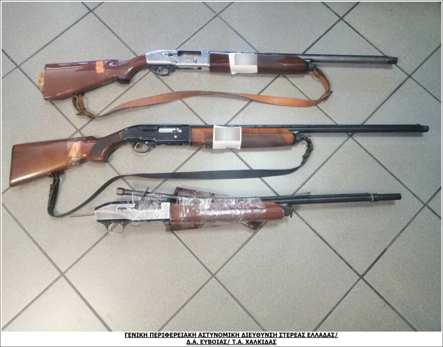 Χαλκίδα: Είχε ολόκληρο οπλοστάσιο στο σπίτι του
