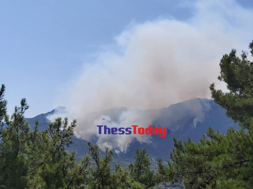 Φωτιά στη Θάσο: Στρατιωτικό κονβόι ενισχύει τις δυνάμεις για την κατάσβεση της πυρκαγιάς