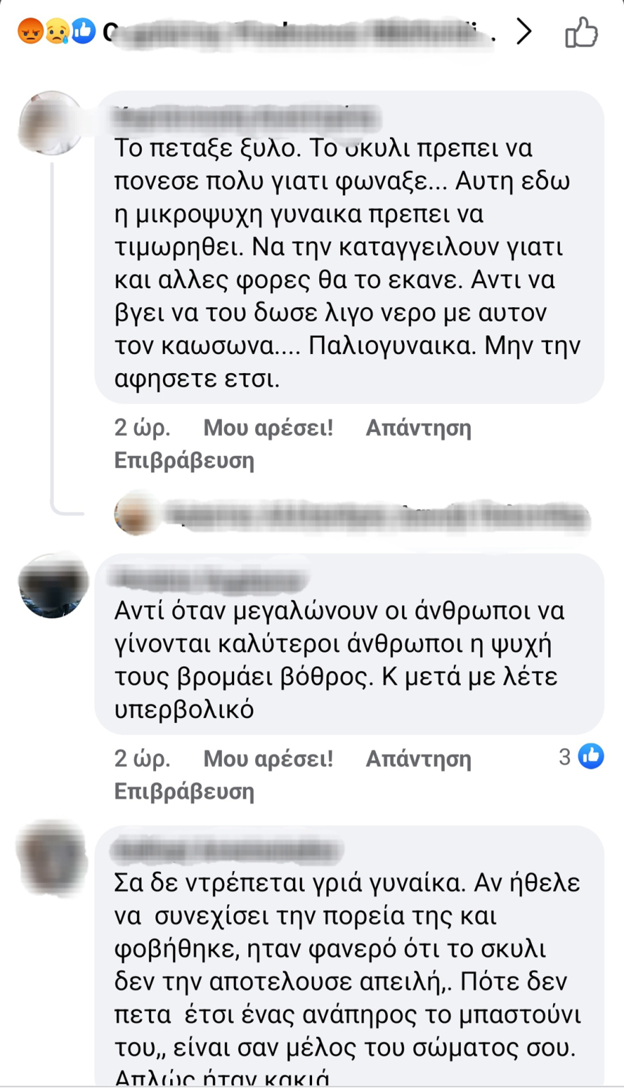 Θεσσαλονίκη: Δικογραφία σε βάρος της 75χρονης που πέταξε μπαστούνι σε σκυλί