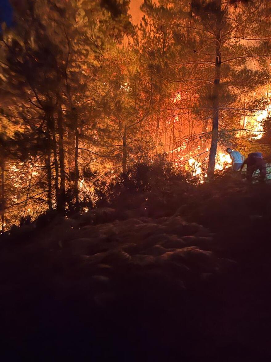Πυκνό δάσος καίει η φωτιά στη Θάσο - Δείτε βίντεο και φωτογραφίες