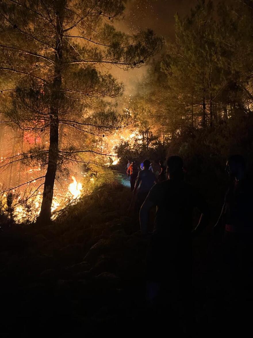 Πυκνό δάσος καίει η φωτιά στη Θάσο - Δείτε βίντεο και φωτογραφίες