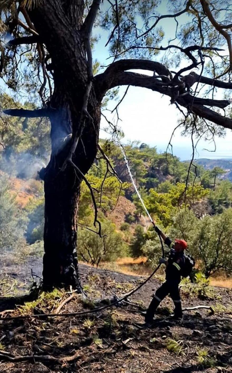 Ηράκλειο: Ένας 86χρονος υπεύθυνος για τη μεγάλη φωτιά στη Βιάννο - Εικόνες καταστροφής