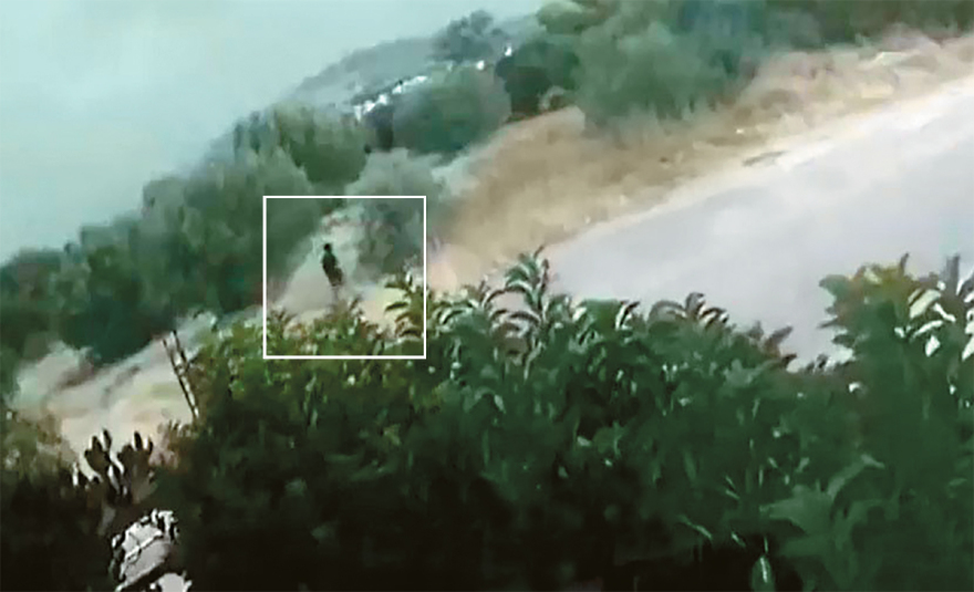 Πυρκαγιές 2022: 52 συλλήψεις και μυστήριο στην Ηλεία με 700 φωτιές σε 2 μήνες