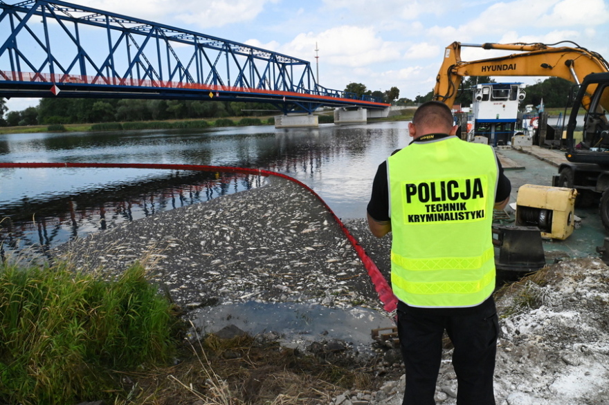 Περιβαλλοντική καταστροφή: Τα νεκρά ψάρια φτάνουν τους 100 τόνους στον ποταμό Όντερ!  - Δείτε βίντεο