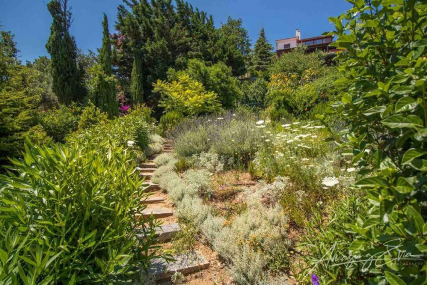 Ο Μπόρις, το σπίτι στην Μεκουνίδα και η έφοδος στα κοτέτσια