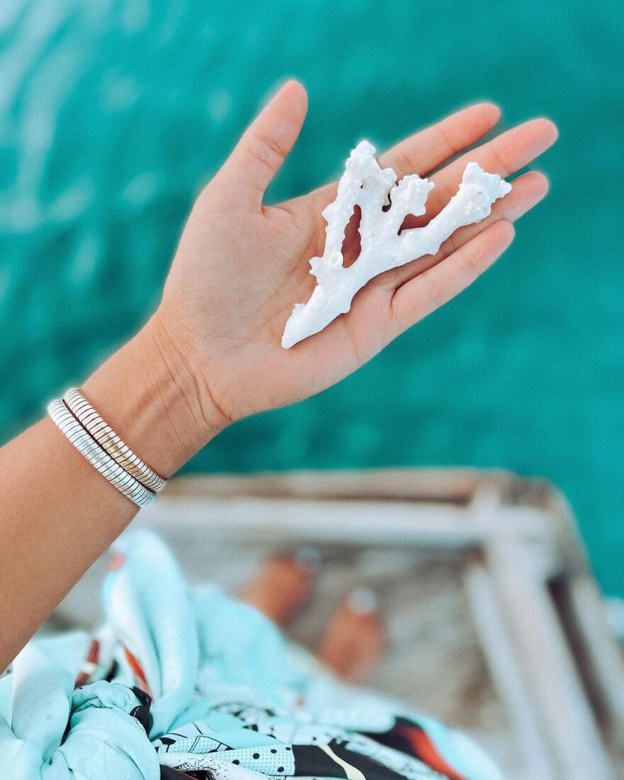 Ευγενία Σαμαρά - Γιάννης Ποιμενίδης: Το φωτογραφικό άλμπουμ από το ταξίδι τους στην Αφρική