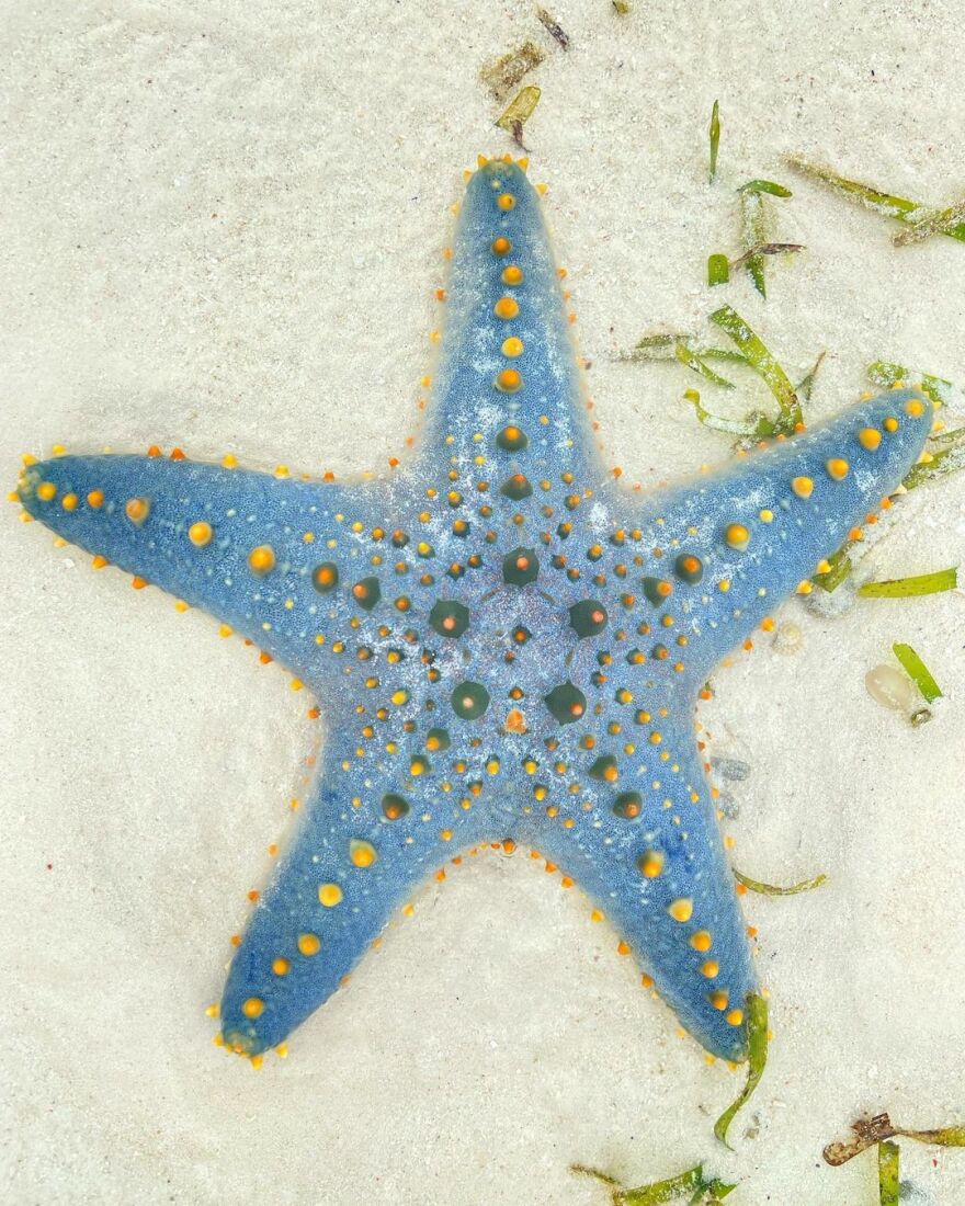 Ευγενία Σαμαρά - Γιάννης Ποιμενίδης: Το φωτογραφικό άλμπουμ από το ταξίδι τους στην Αφρική