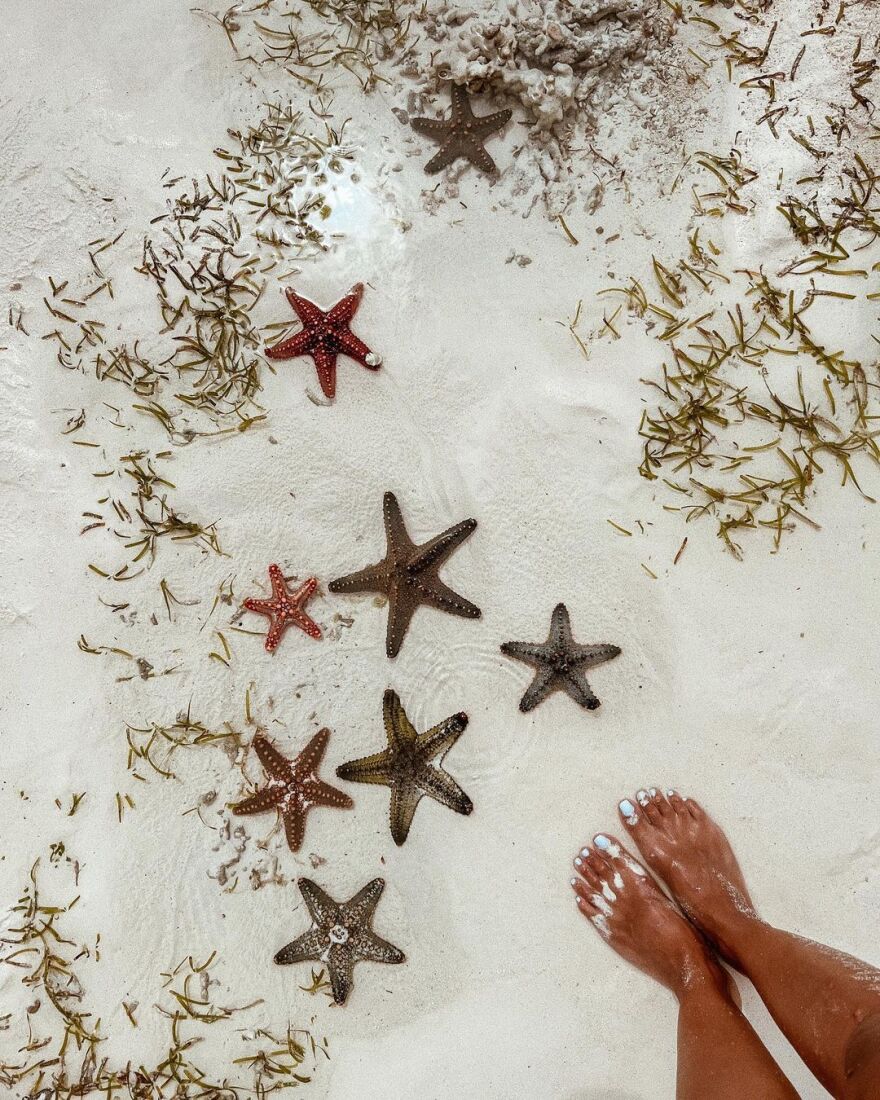 Ευγενία Σαμαρά - Γιάννης Ποιμενίδης: Το φωτογραφικό άλμπουμ από το ταξίδι τους στην Αφρική