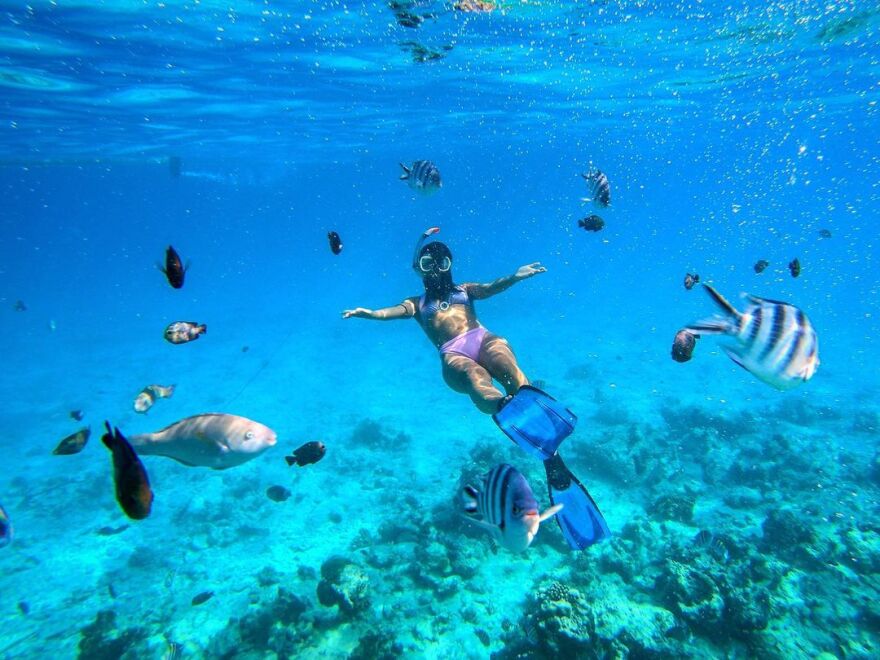 Ευγενία Σαμαρά - Γιάννης Ποιμενίδης: Το φωτογραφικό άλμπουμ από το ταξίδι τους στην Αφρική