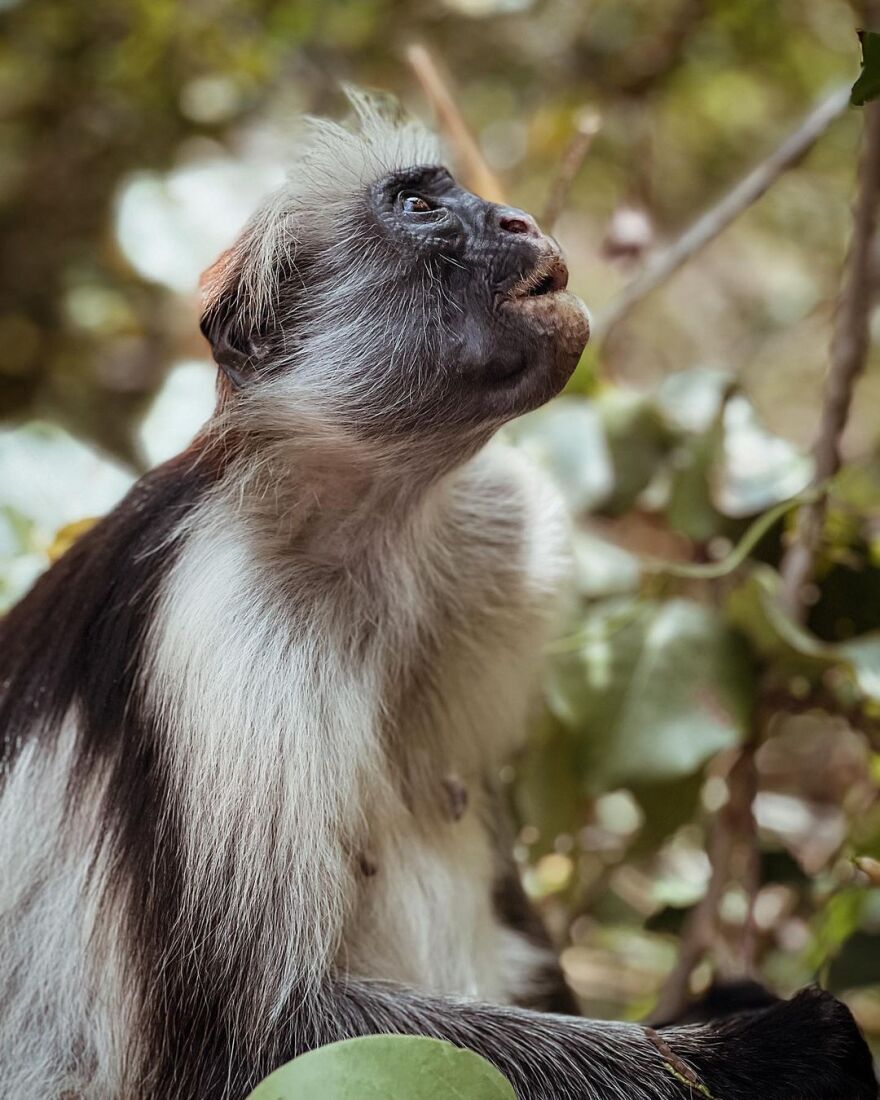 Ευγενία Σαμαρά - Γιάννης Ποιμενίδης: Το φωτογραφικό άλμπουμ από το ταξίδι τους στην Αφρική