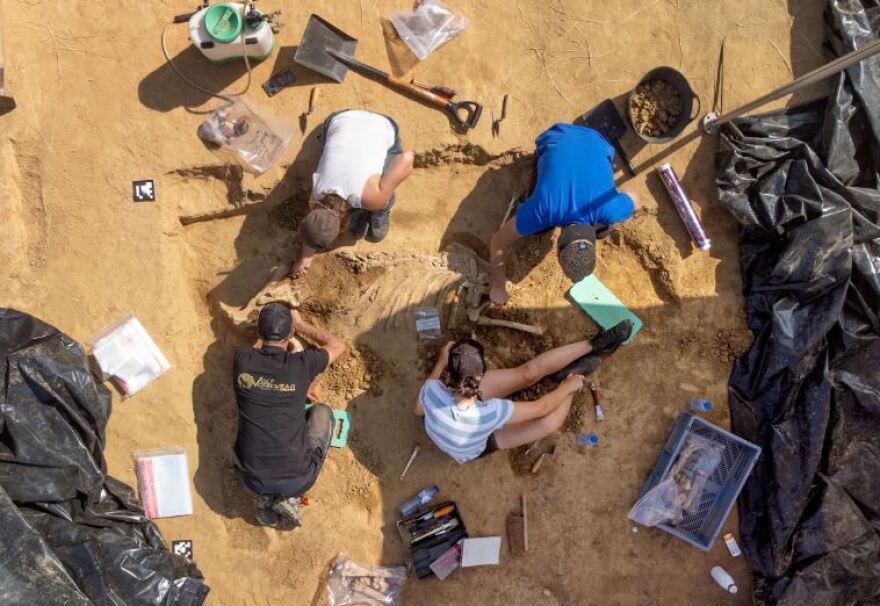 Μάχη του Βατερλό: Ιστορικοί λένε ότι έλυσαν το μυστήριο για το... τι απέγιναν οι σκελετοί