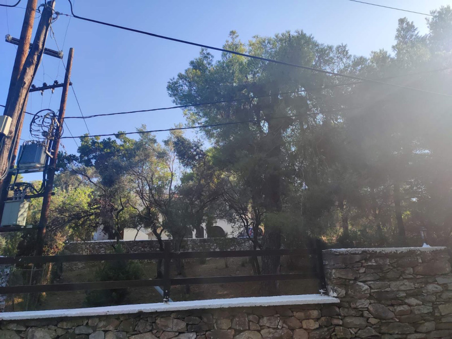 Σκιάθος: Ο αυτόχειρας επιχειρηματίας «δεχόταν πιέσεις για οικονομικά ζητήματα»