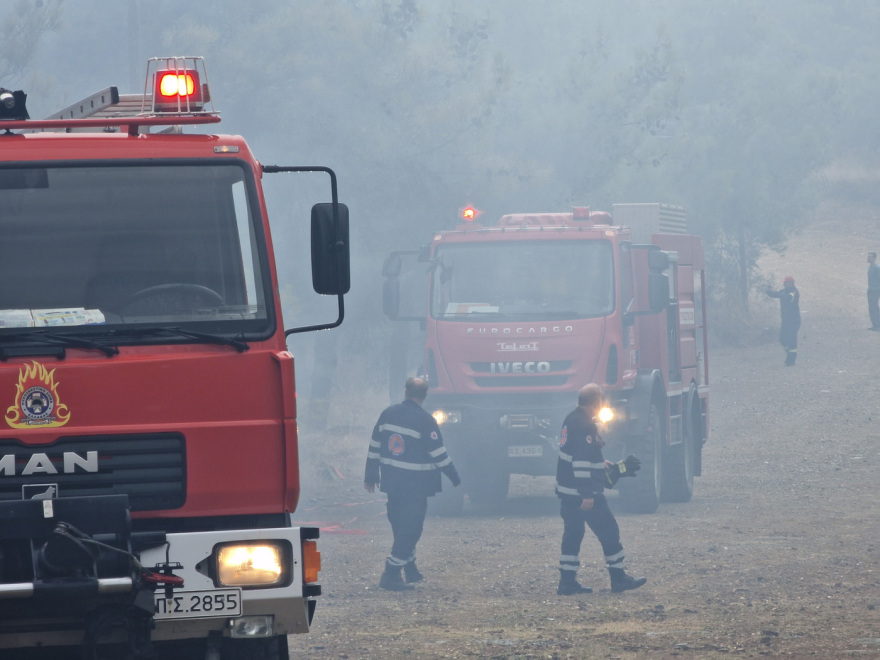 Οριοθετήθηκε η φωτιά στο Σέιχ Σου - Έκαψε 30 στρέμματα - Δείτε βίντεο