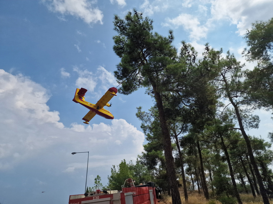 Οριοθετήθηκε η φωτιά στο Σέιχ Σου - Έκαψε 30 στρέμματα - Δείτε βίντεο